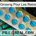 Ginseng For Kidney new09